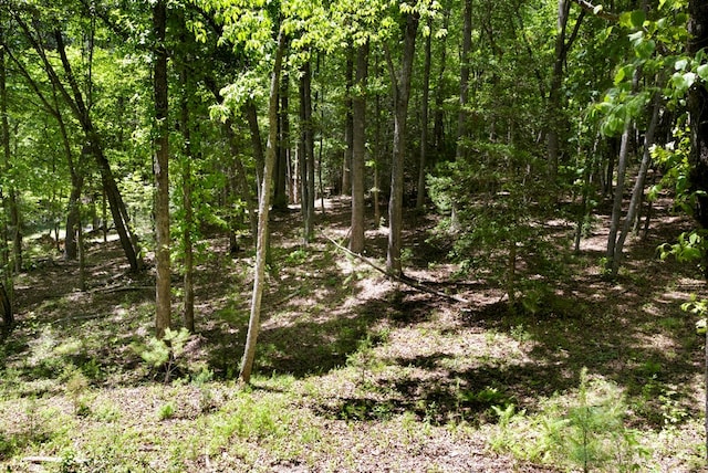 910 Sawyer Cove Rd, Hayesville, NC 28904 - view of wooded area