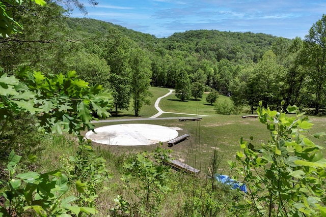910 Sawyer Cove Rd, Hayesville, NC 28904 - view of yard featuring a wooded view