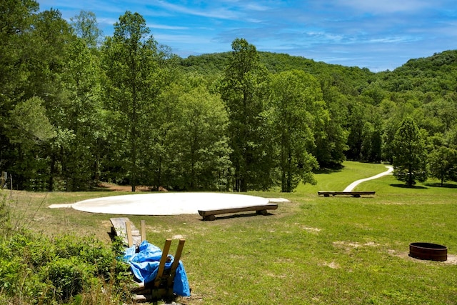910 Sawyer Cove Rd, Hayesville, NC 28904 - view of home's community with a view of trees and a lawn