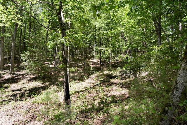 910 Sawyer Cove Rd, Hayesville, NC 28904 - view of woods
