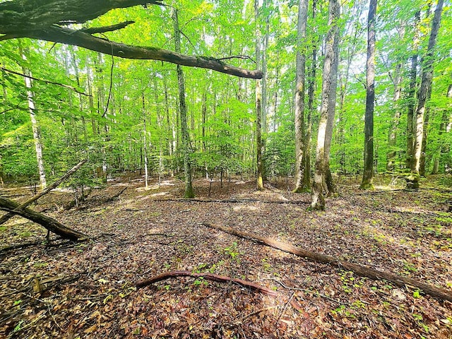910 Sawyer Cove Rd, Hayesville, NC 28904 - view of woods