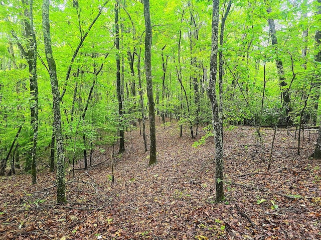 910 Sawyer Cove Rd, Hayesville, NC 28904 - view of tree filled area