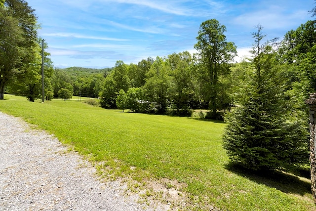 910 Sawyer Cove Rd, Hayesville, NC 28904 - view of green lawn with a forest view