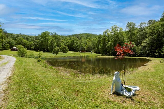 910 Sawyer Cove Rd, Hayesville, NC 28904 - water view featuring a heavily wooded area