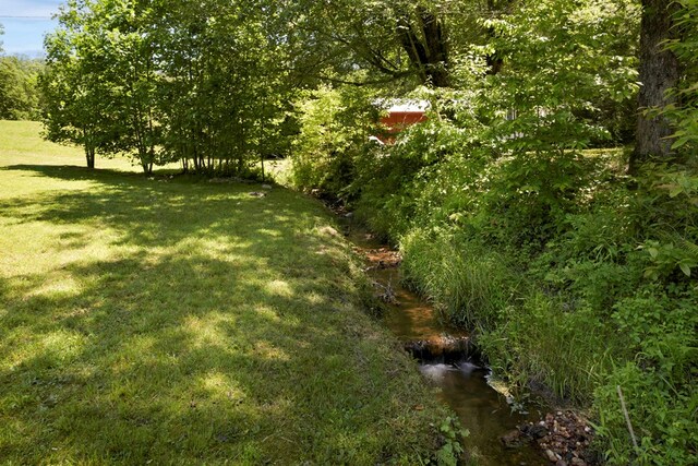 910 Sawyer Cove Rd, Hayesville, NC 28904 - view of grassy yard