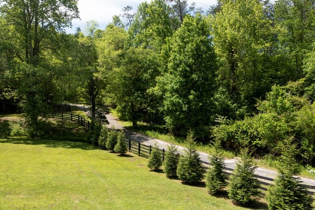 910 Sawyer Cove Rd, Hayesville, NC 28904 - view of yard