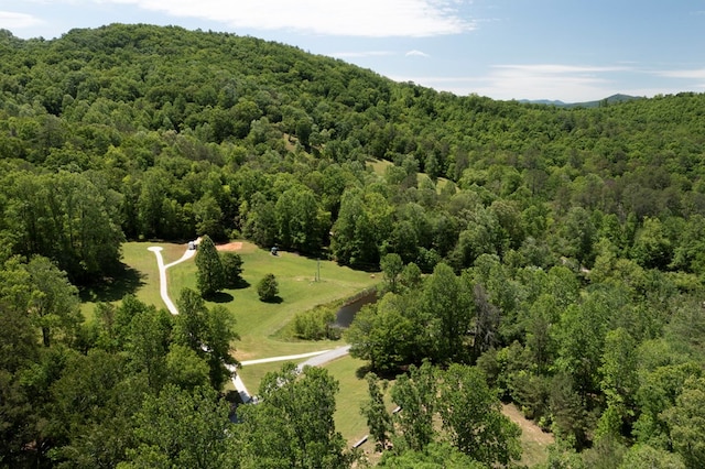 910 Sawyer Cove Rd, Hayesville, NC 28904 - view of property location featuring a forest