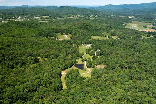 910 Sawyer Cove Rd, Hayesville, NC 28904 - view of property location with a heavily wooded area and mountains