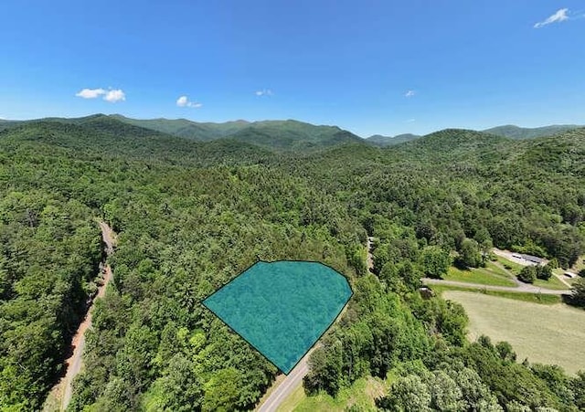 TRACT4 Fain Branch Rd, Blairsville, GA 30512
