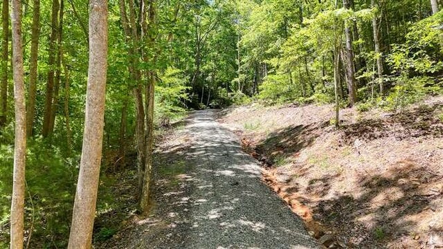 TRACT4 Fain Branch Rd, Blairsville, GA 30512