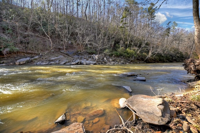 property view of water with a view of trees