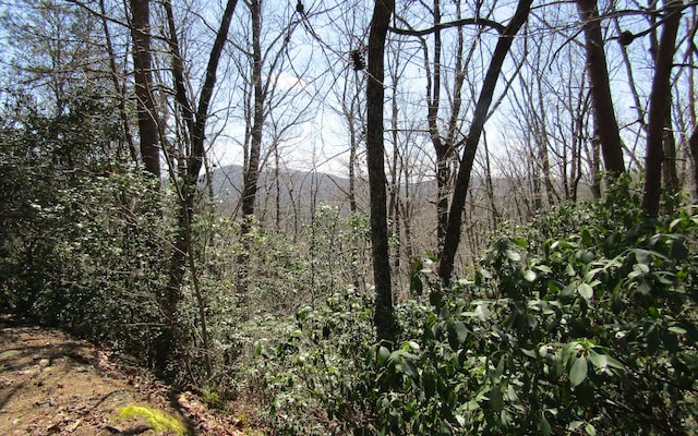 LT27 Mission Ridge, Hayesville NC, 28904 land for sale