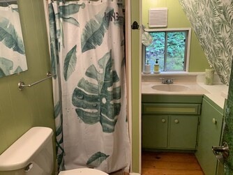 bathroom featuring hardwood / wood-style flooring, toilet, and vanity