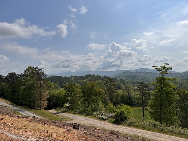 106 Mistletoe Rdg, Murphy, NC 28906 - mountain view featuring a heavily wooded area