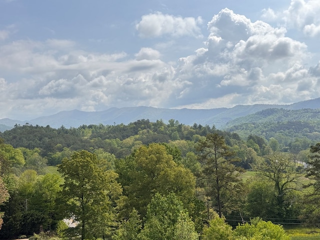 106 Mistletoe Rdg, Murphy, NC 28906 - mountain view featuring a heavily wooded area