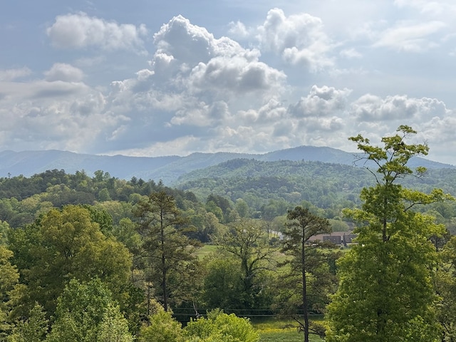 106 Mistletoe Rdg, Murphy, NC 28906 - view of mountain background with a forest