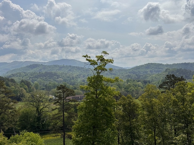 106 Mistletoe Rdg, Murphy, NC 28906 - view of mountain backdrop with a heavily wooded area