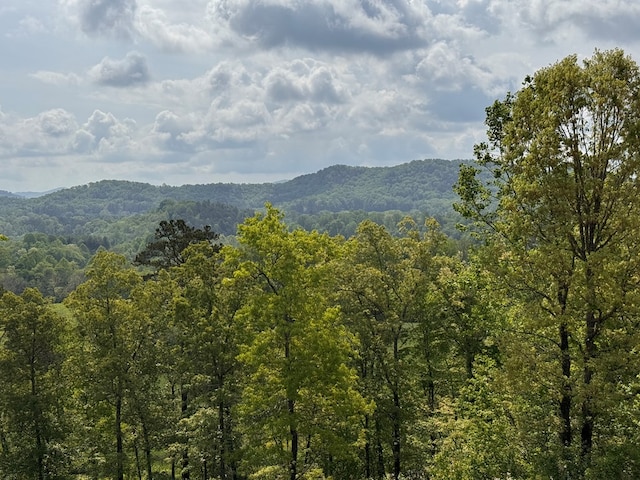 106 Mistletoe Rdg, Murphy, NC 28906 - mountain view featuring a heavily wooded area