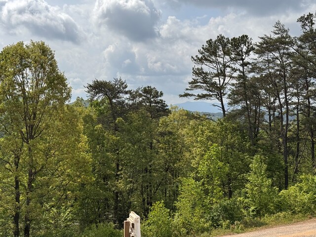 106 Mistletoe Rdg, Murphy, NC 28906 - view of wooded area