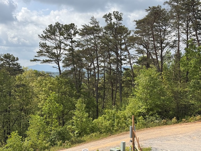106 Mistletoe Rdg, Murphy, NC 28906 - view of dirt / gravel road with a wooded view
