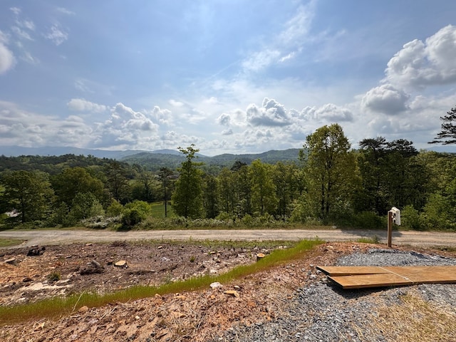 106 Mistletoe Rdg, Murphy, NC 28906 - view of mountain backdrop with a forest