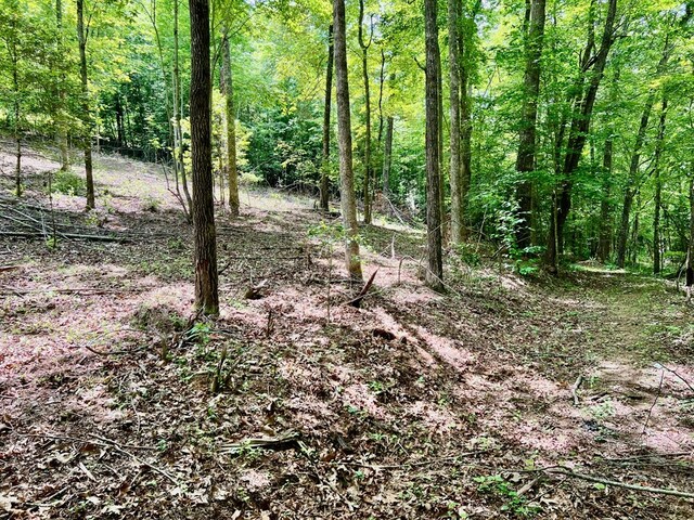 Listing photo 3 for 3 Lower Fox Trl, Blairsville GA 30512