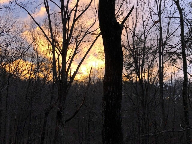 view of nature at dusk