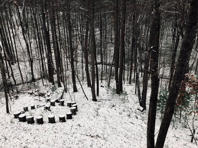 view of snow covered land