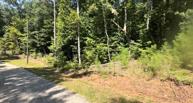 LOT117 Jumper Dr, Ellijay GA, 30540 land for sale