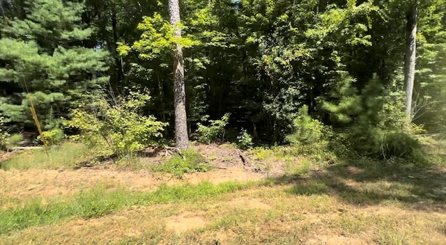 Listing photo 2 for LOT117 Jumper Dr, Ellijay GA 30540