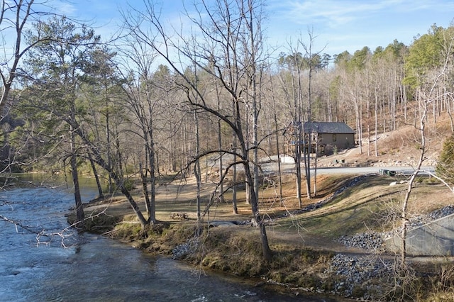 view of yard featuring a forest view