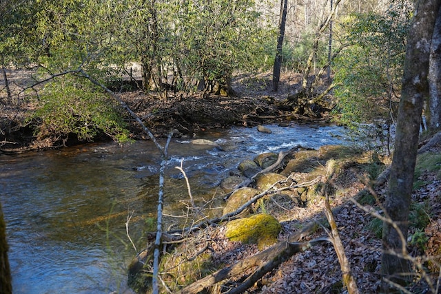 view of water feature