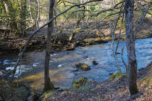 view of water feature