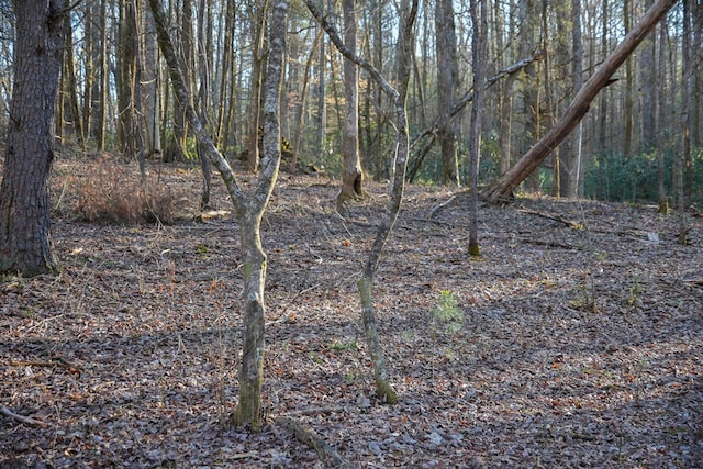 view of landscape