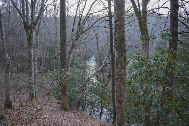 view of nature featuring a water view