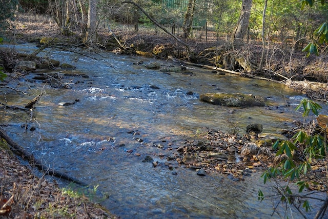 view of local wilderness