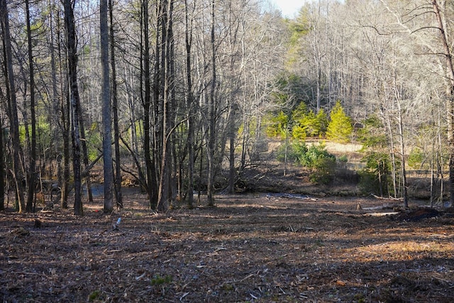 view of landscape