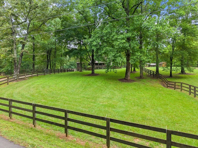 802 Old Mill Trl, Ball Ground, GA 30107 - view of yard