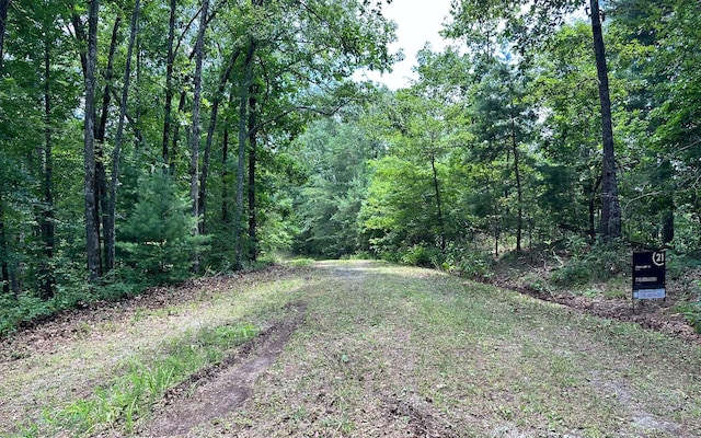 Listing photo 2 for 0 Rebekah Ridge Rd, Talking Rock GA 30175