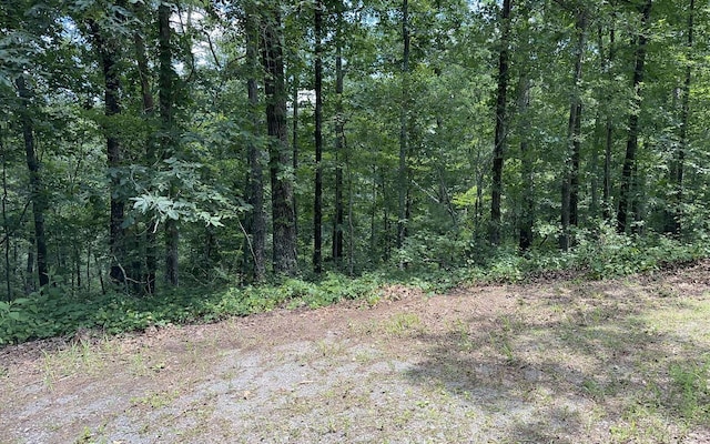 Listing photo 3 for 0 Rebekah Ridge Rd, Talking Rock GA 30175