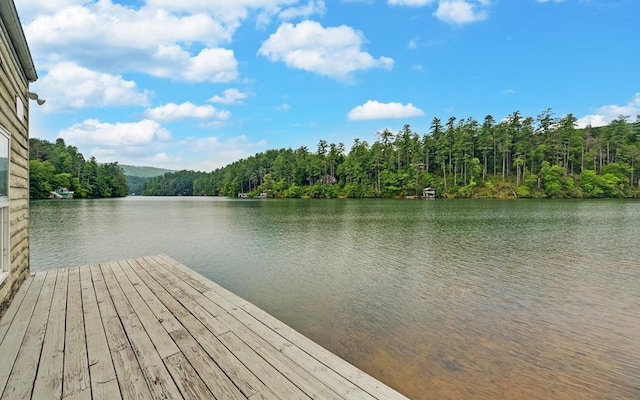 dock area with a water view