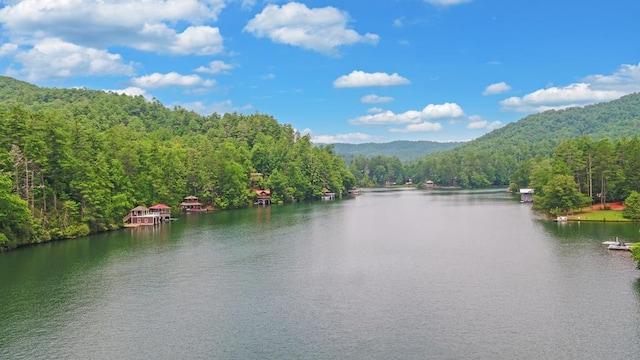 property view of water featuring a mountain view