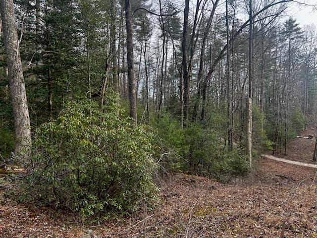 0 Corinth Church Rd, Cleveland GA, 30528 land for sale