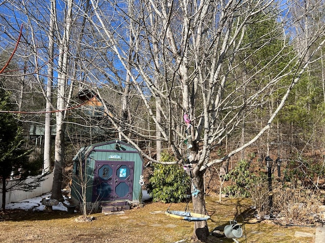 view of yard with a storage shed