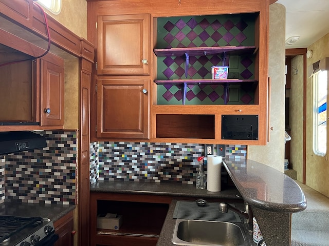 kitchen featuring sink, backsplash, and ventilation hood