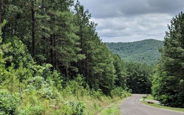 LOT7 Ridge Top Dr, Ellijay GA, 30536 land for sale