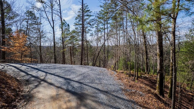 Listing photo 2 for 324 Parody Cir, Ellijay GA 30540