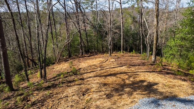 Listing photo 3 for 324 Parody Cir, Ellijay GA 30540