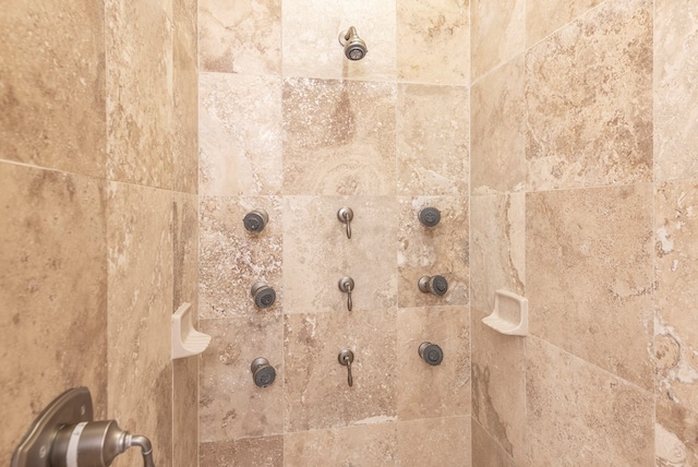 details featuring tiled shower