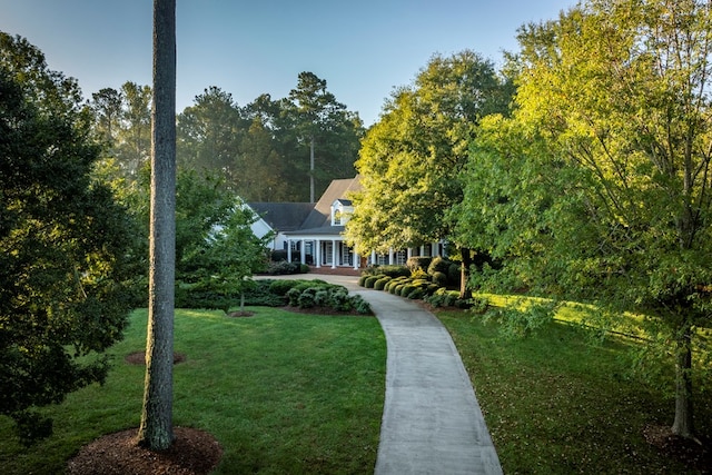 view of home's community with a yard